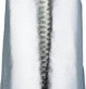 Blue Eagle AL7 Aluminized Apron