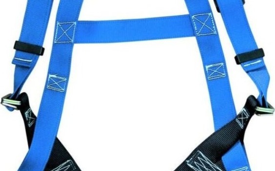 Body Harness