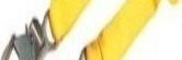 3M DBI-SALA Shock Absorbing Lanyard