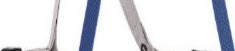 Petzl New Corax Harness Blue Size 1 C051BA00
