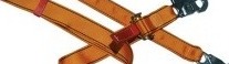 3M Protecta Adjustable Webbing Pole Strap AF725