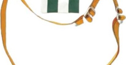 Safety Belt Blue Eagle NP739